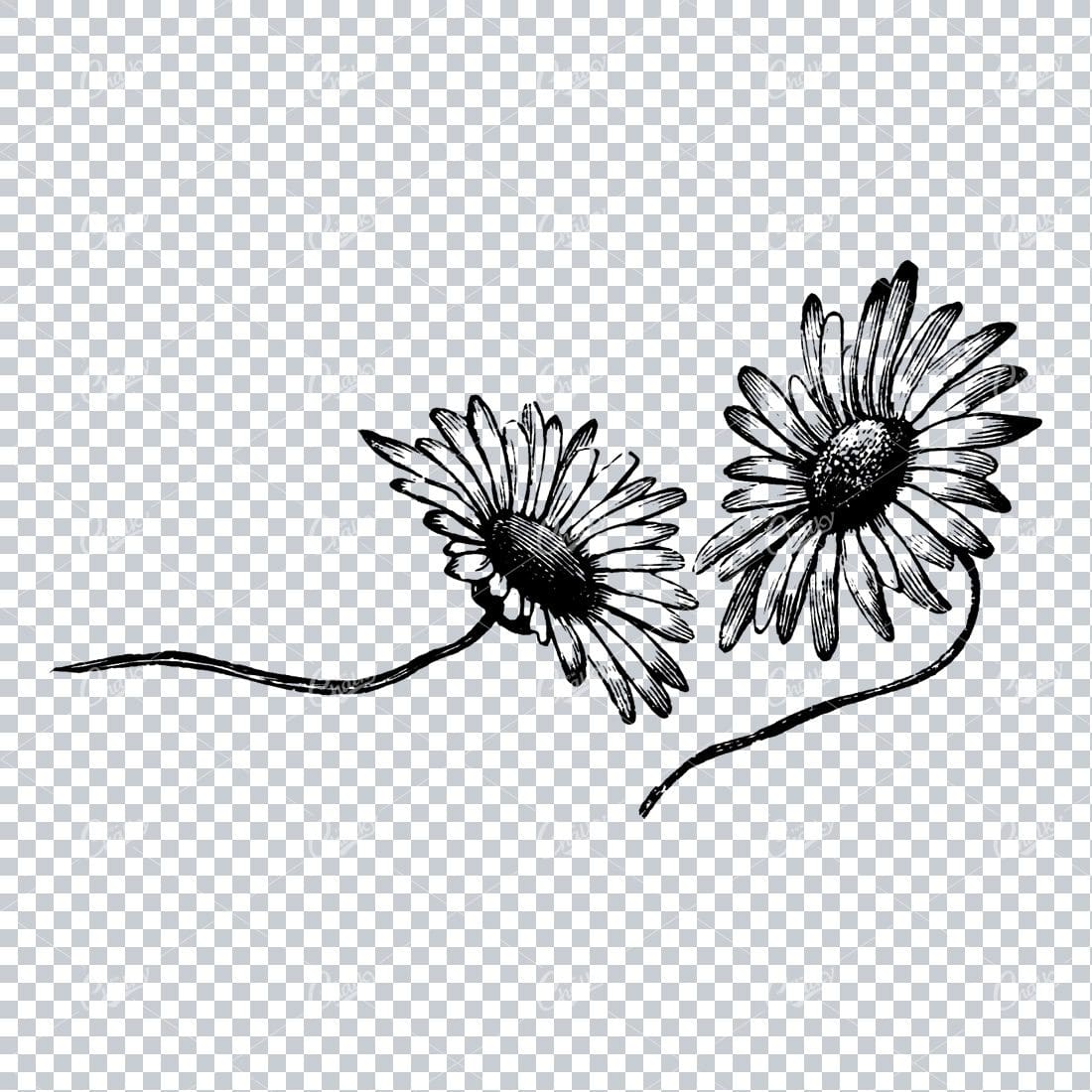 Vintage Botanical Illustration No.5
