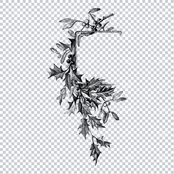 Vintage Botanical Line Art - Decorative Corner Piece with Flowers and Leaves No.8