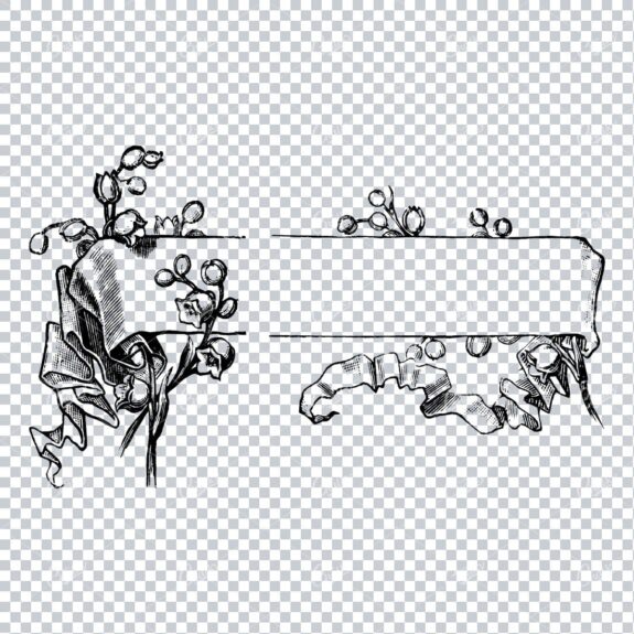 Vintage Botanical Line Art - Decorative Banner