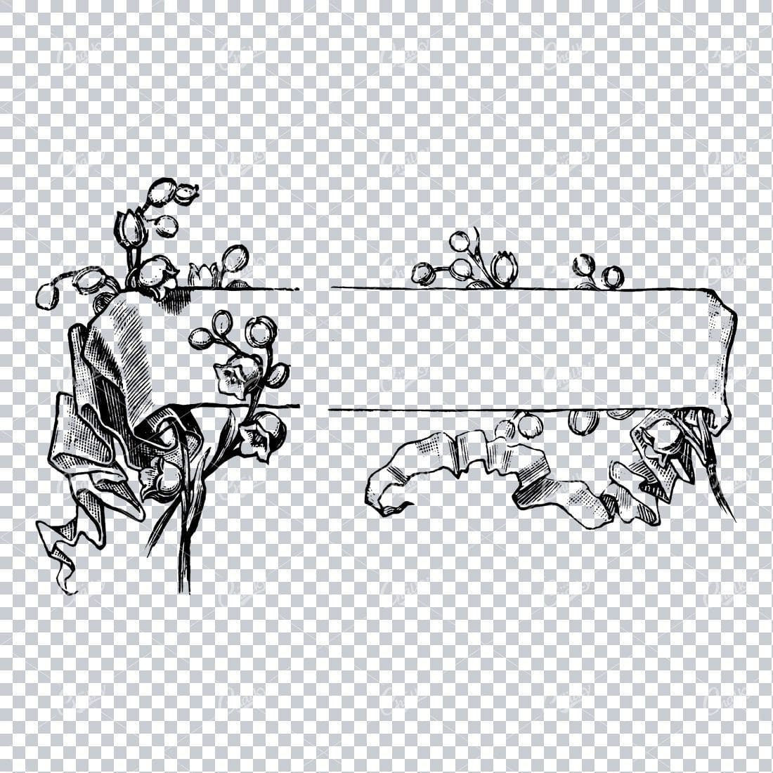 Vintage Botanical Line Art - Decorative Banner