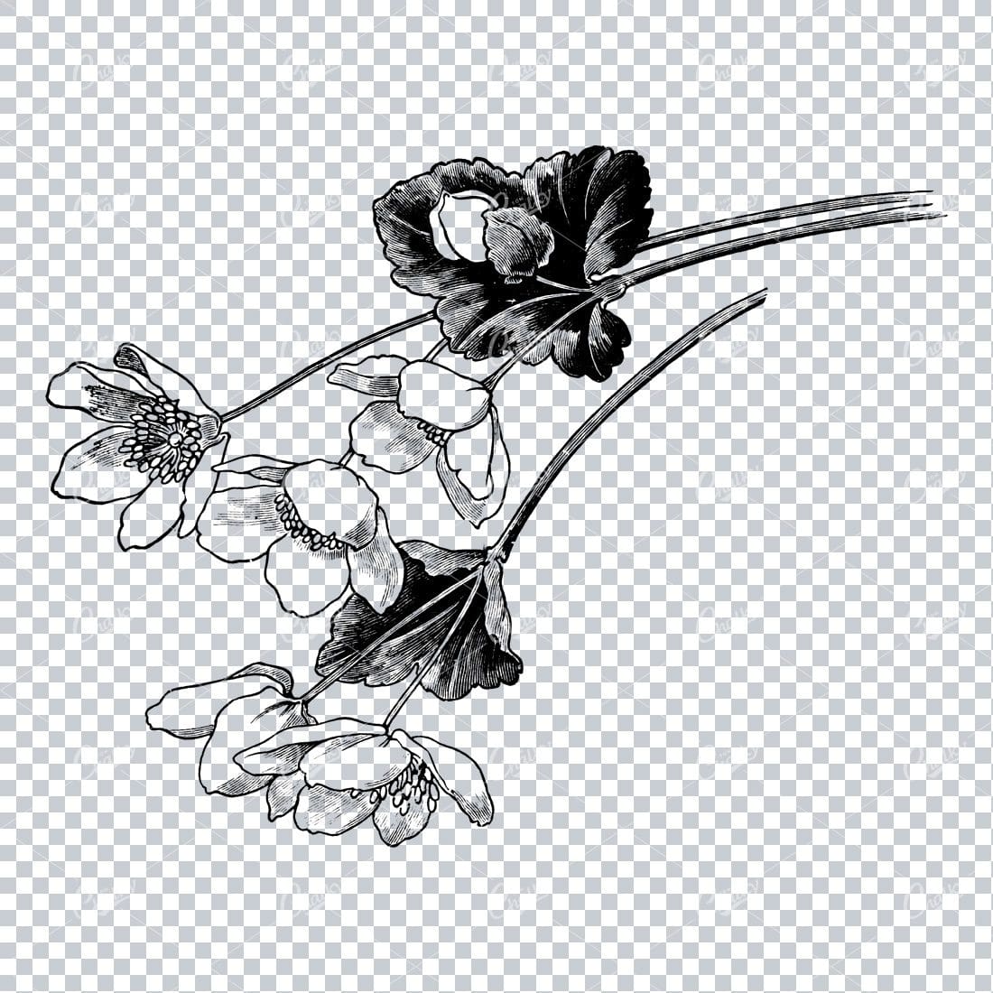 Vintage Botanical Illustration No.8