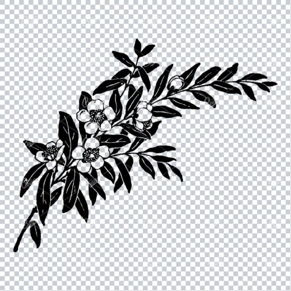 Vintage Botanical Illustration No.9