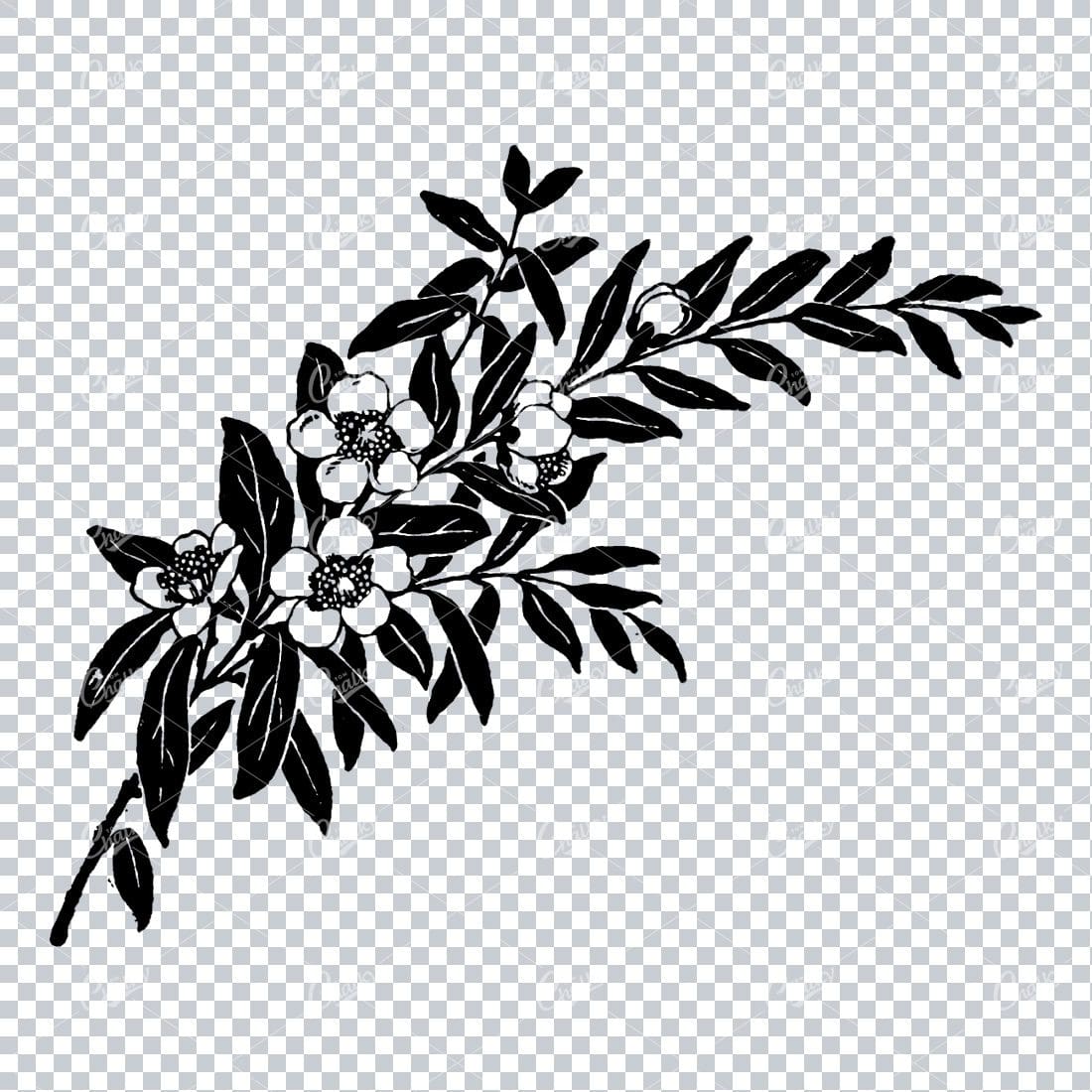 Vintage Botanical Illustration No.9