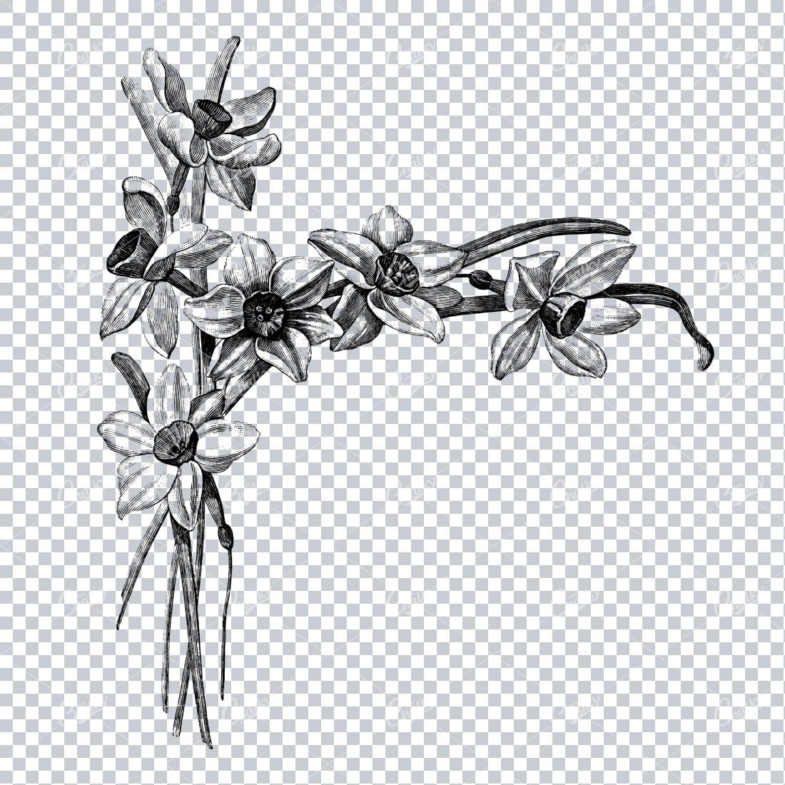 Vintage Botanical Illustration No.10