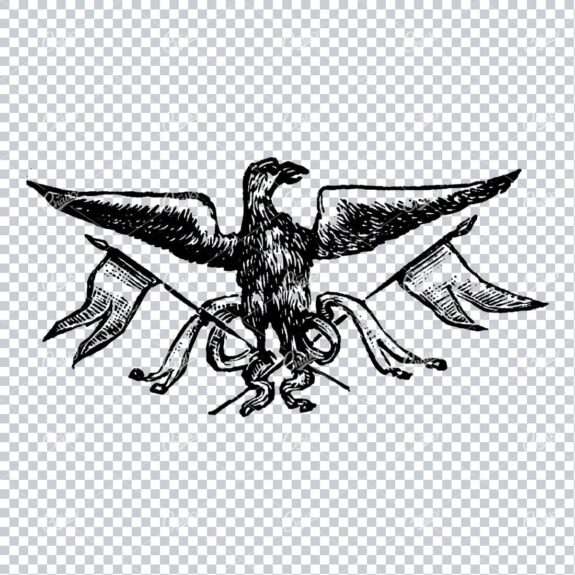 Old Line Art Illustration of an Eagle Holding Flags
