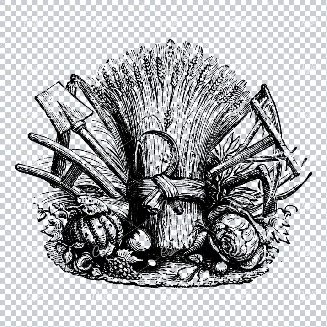 Old Farming / Agriculture Illustration with Wheat and Tools