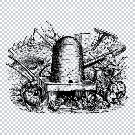 Old Farming / Agriculture Illustration of a Bee Hive with Tools