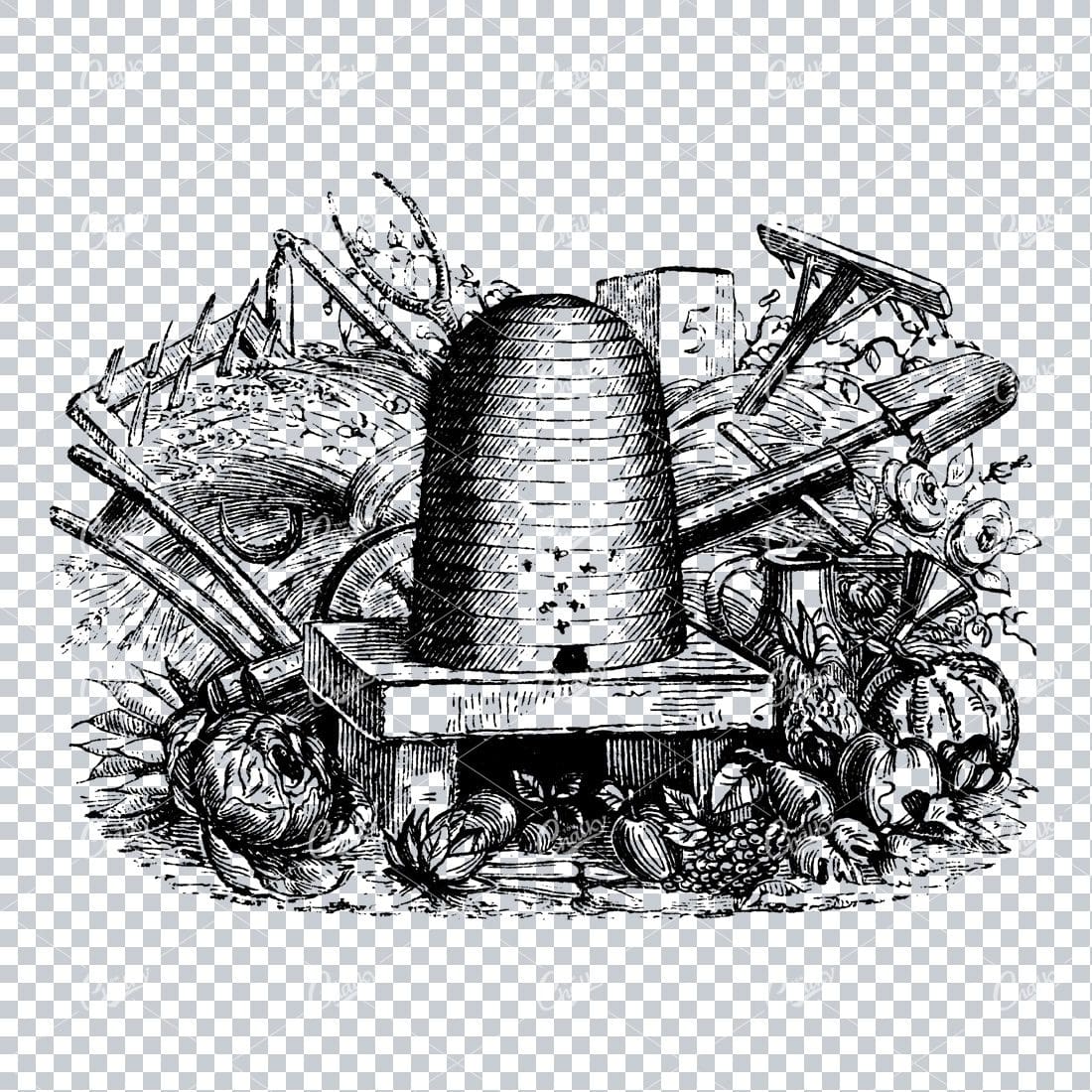 Old Farming / Agriculture Illustration of a Bee Hive with Tools
