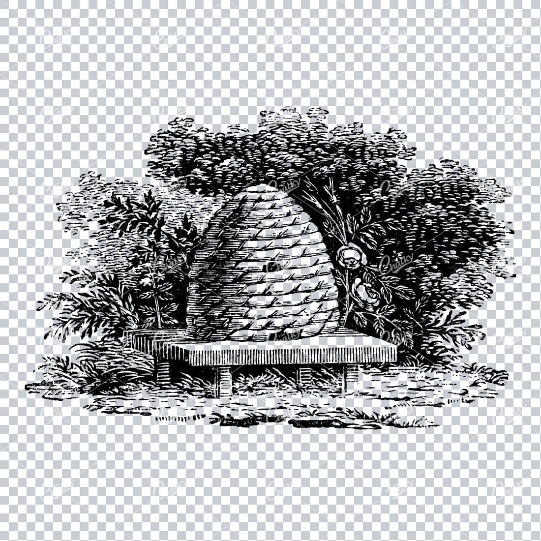 Old Illustration of a Bee Hive