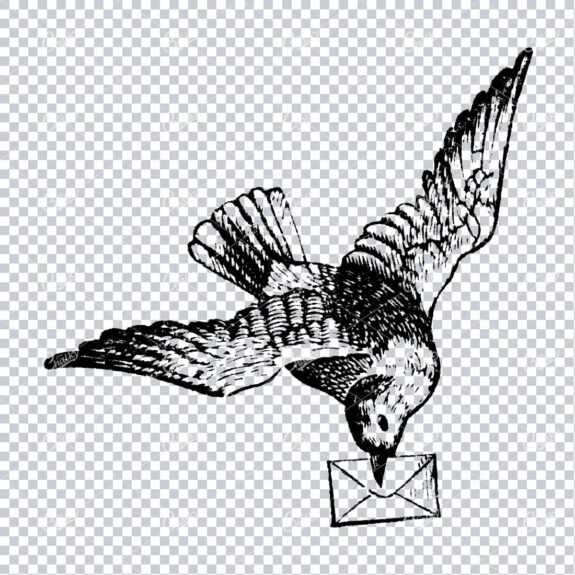 Vintage Illustration of a Bird Flying Carrying a Letter / Mail
