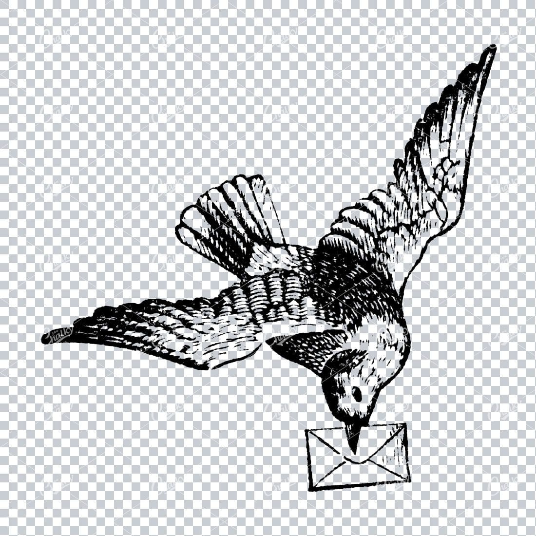 Vintage Illustration of a Bird Flying Carrying a Letter / Mail
