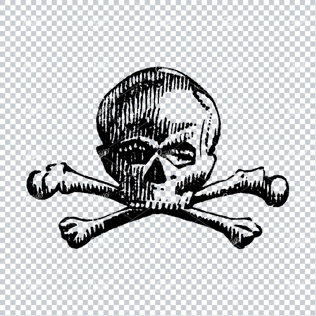 Vintage Line Art Illustration of a Skull with Crossbones No.1
