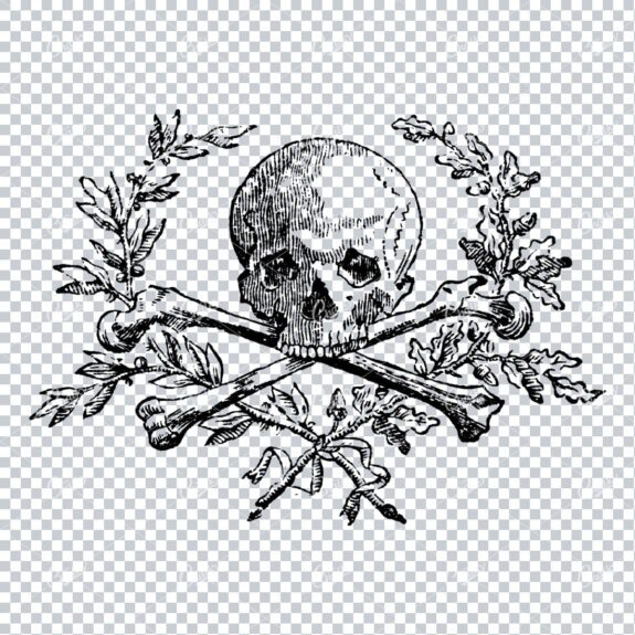 Vintage Line Art Illustration of a Skull with Crossbones No.3