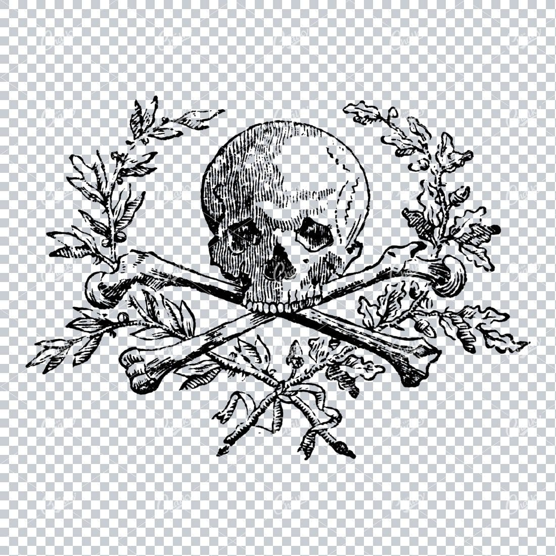 Vintage Line Art Illustration of a Skull with Crossbones No.3