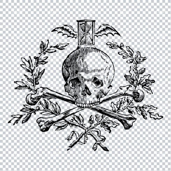 Vintage Line Art Illustration of a Skull with Crossbones No.4