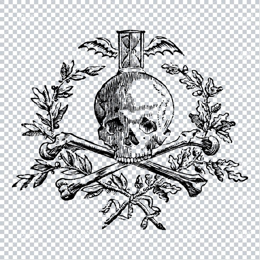 Vintage Line Art Illustration of a Skull with Crossbones No.4