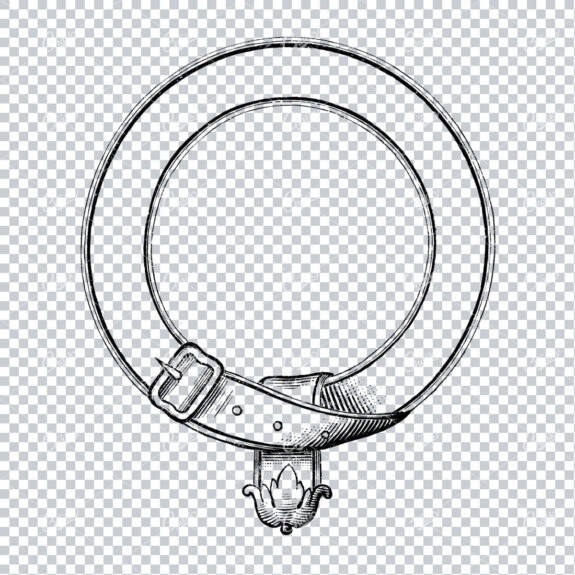 Vintage Illustration of a Frame made with a Belt and Buckle No.1