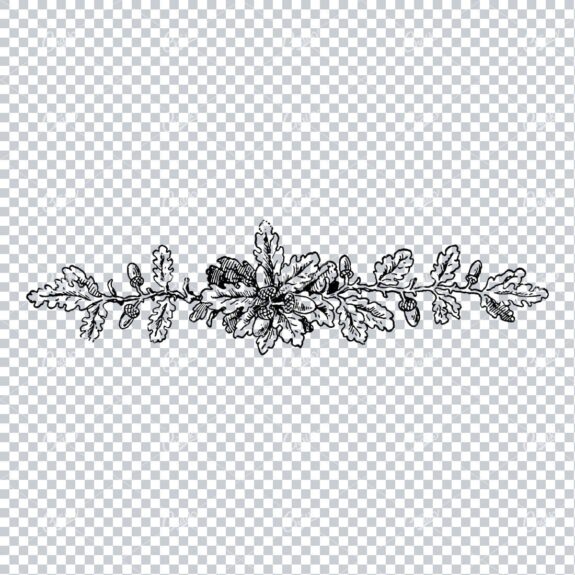 Antique Flourished / Floral Design Element No.3