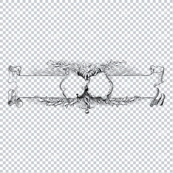 Decorative Vintage Illustration - Border / Frame Template No.75