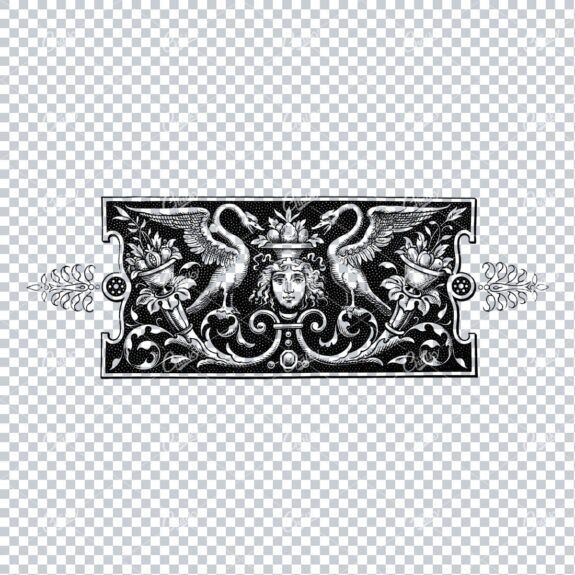 Antique Line Art Illustration of Two Storks and Fruit Banner
