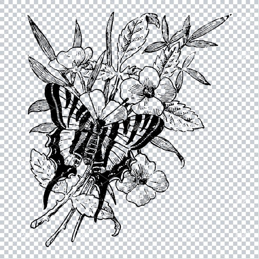 Antique Flourished / Floral Design Element with a Butterfly No.2