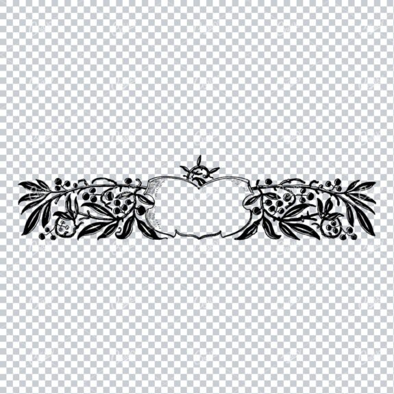 Decorative Vintage Illustration - Border / Frame Template No.103