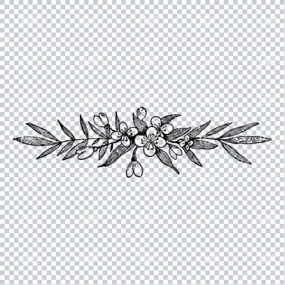 Antique Flourished / Floral Design Element No.12