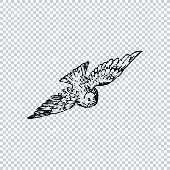 Old Line Art Illustration of a Bird Flying No.1