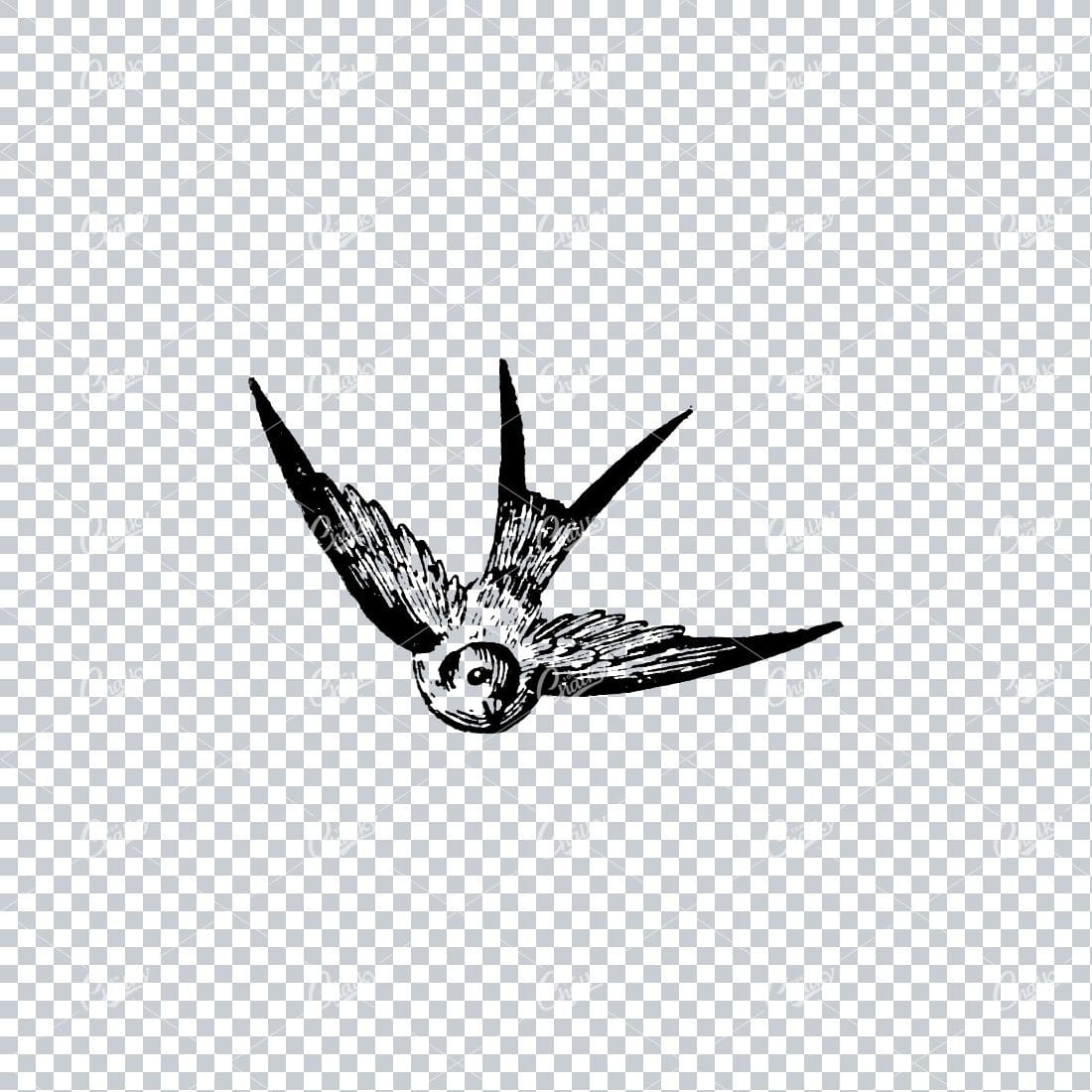 Old Line Art Illustration of a Bird Flying No.2