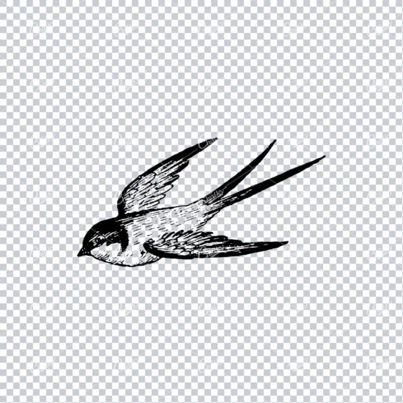 Old Line Art Illustration of a Bird Flying No.3