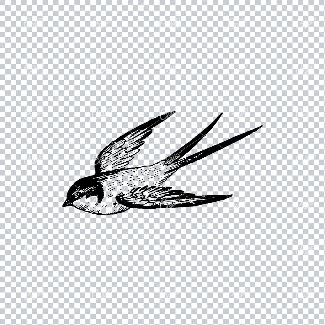 Old Line Art Illustration of a Bird Flying No.3