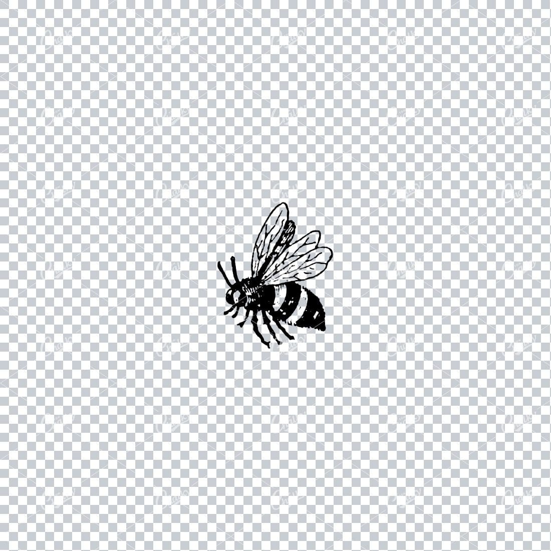 Vintage Line Art Illustration of a Bee No.2