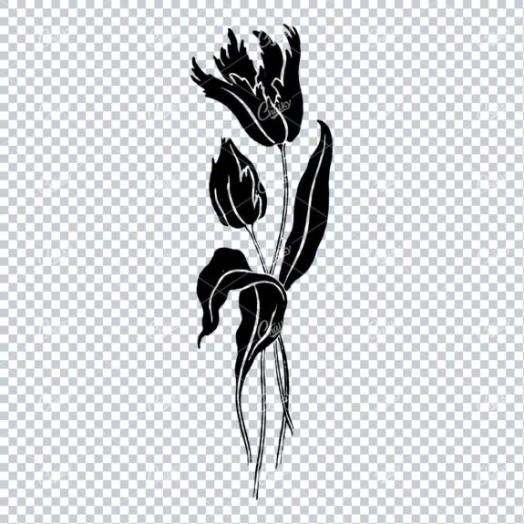 Line Art Illustration of a Flower No.1