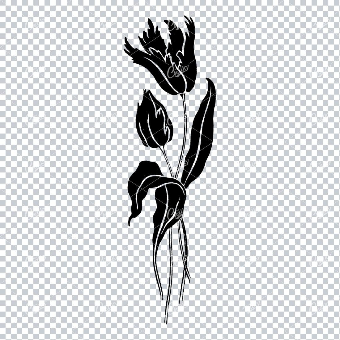 Line Art Illustration of a Flower No.1
