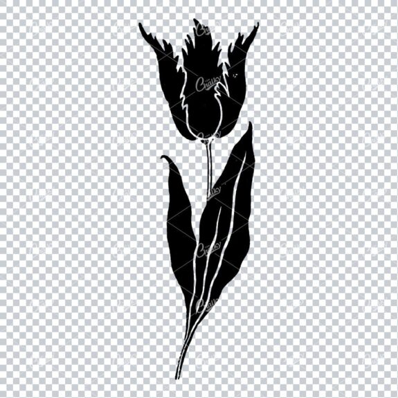 Line Art Illustration of a Flower No.2
