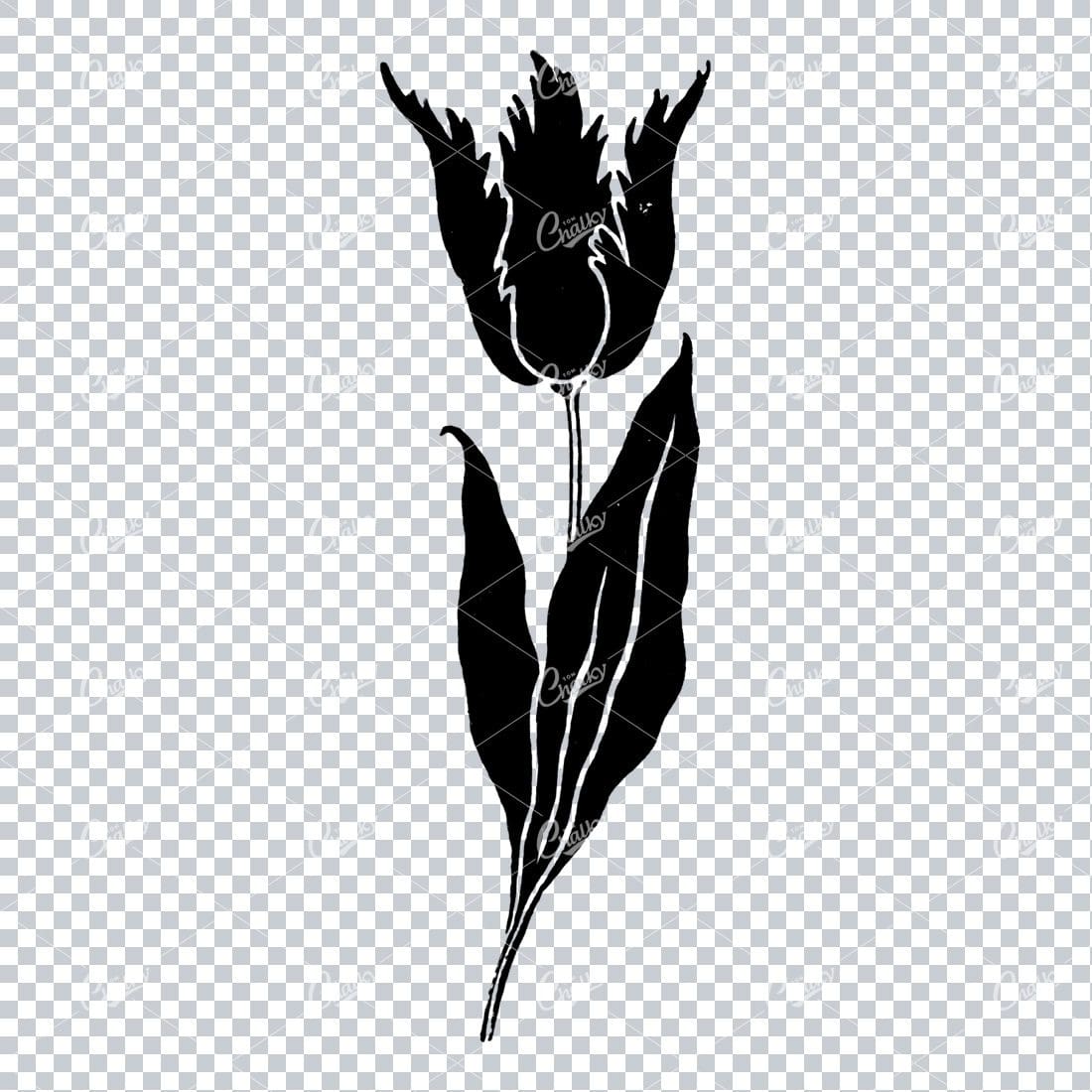 Line Art Illustration of a Flower No.2