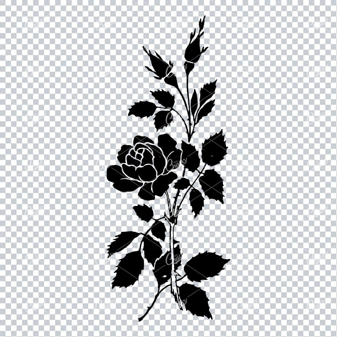 Line Art Illustration of a Flower No.3