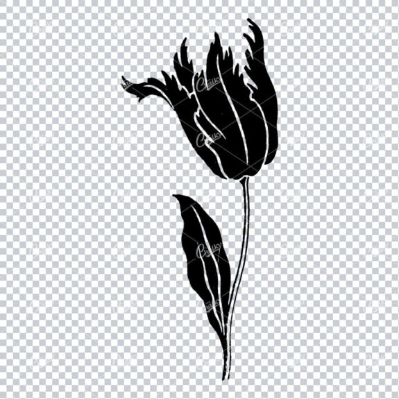 Line Art Illustration of a Flower No.4