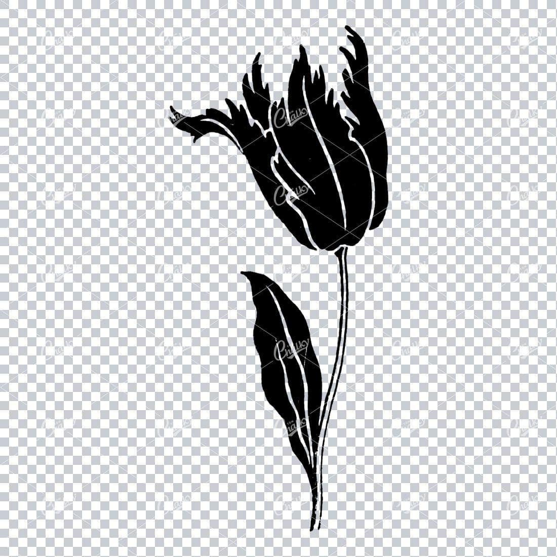 Line Art Illustration of a Flower No.4