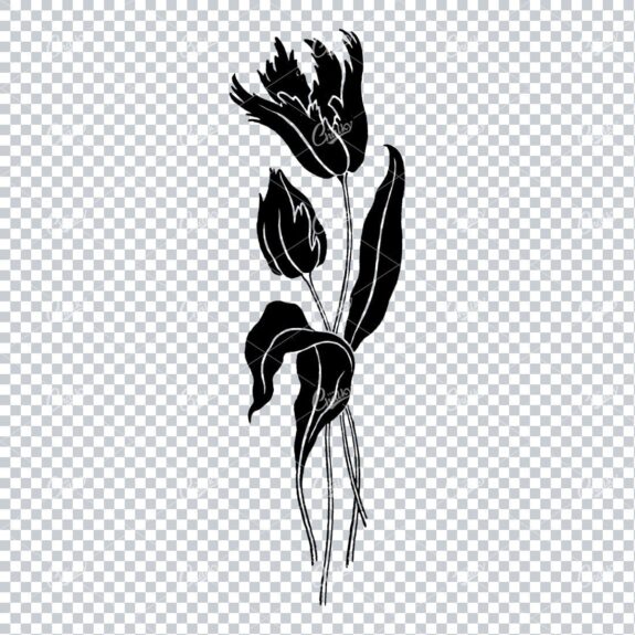 Line Art Illustration of a Flower No.5
