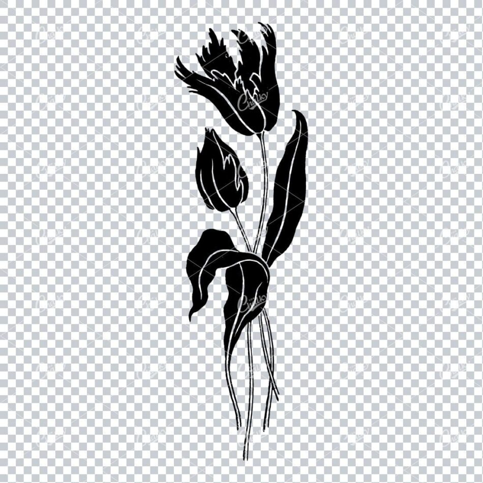 Line Art Illustration of a Flower No.5