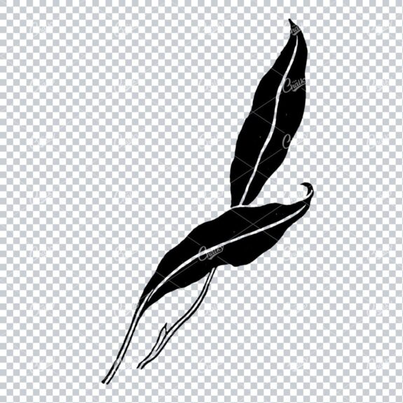 Line Art Illustration of a Flower No.8