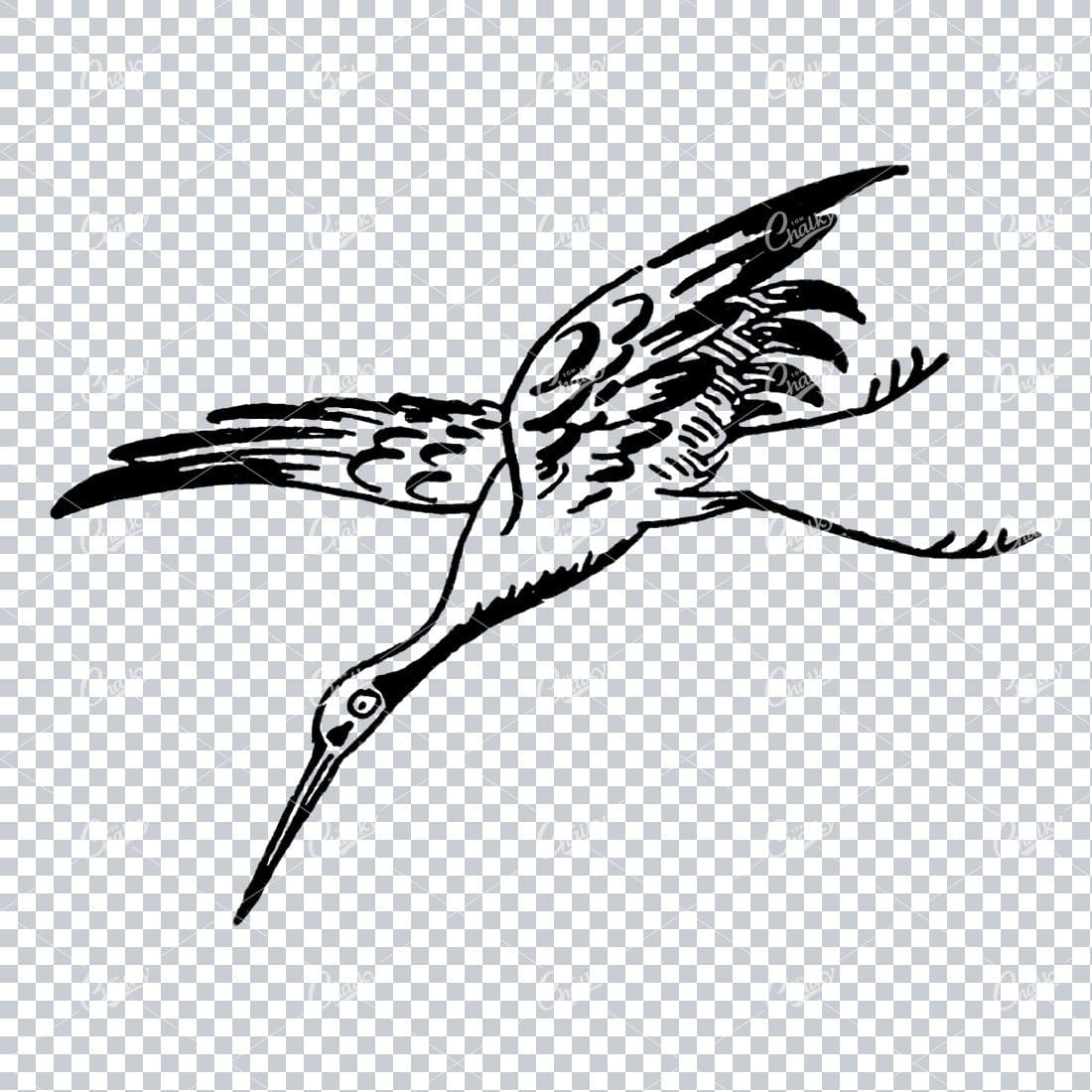Line Art Illustration of a Flying Stork No.1