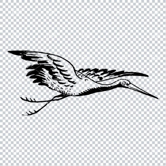 Line Art Illustration of a Flying Stork No.2