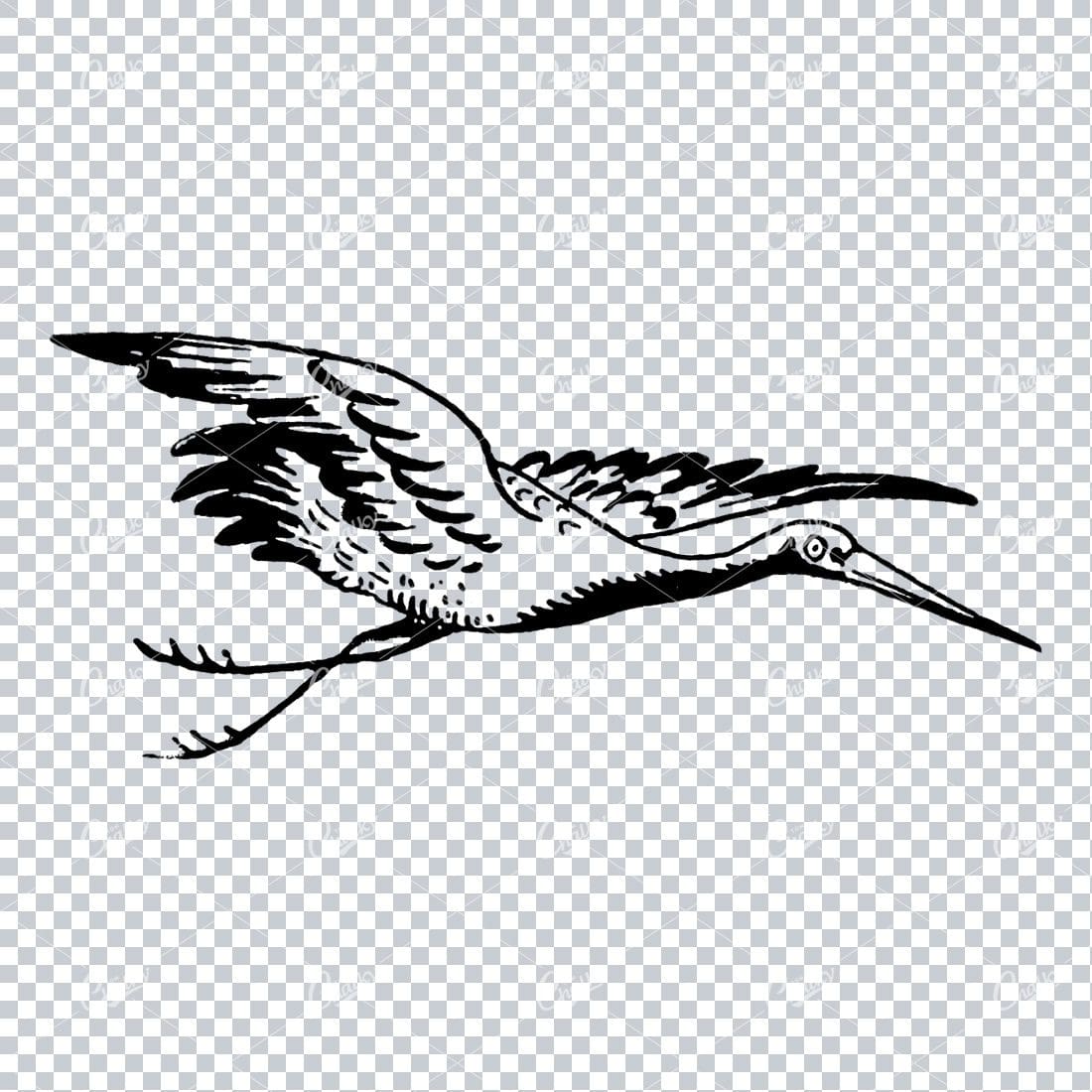 Line Art Illustration of a Flying Stork No.2