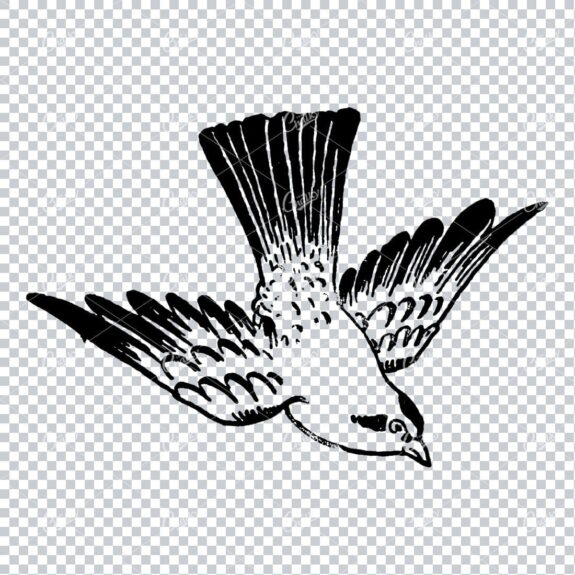 Line Art Illustration of a Flying Bird