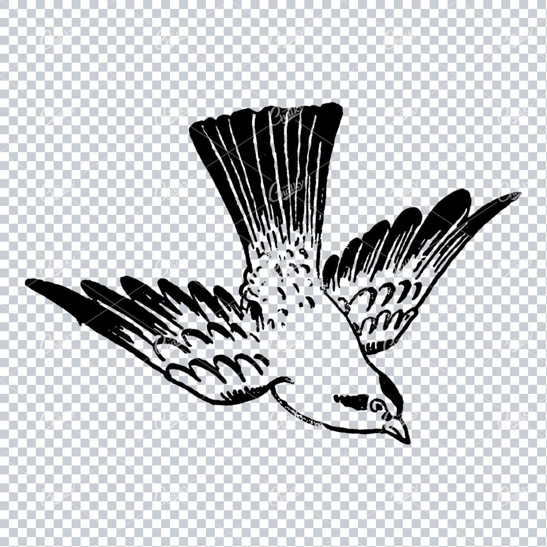 Line Art Illustration of a Flying Bird