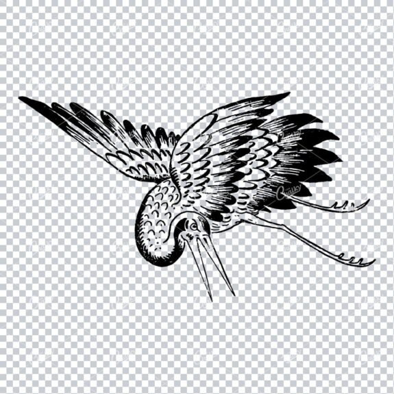 Line Art Illustration of a Flying Stork No.3
