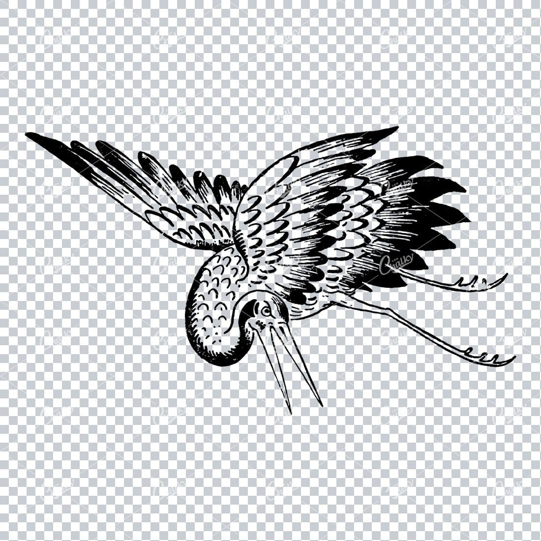 Line Art Illustration of a Flying Stork No.3