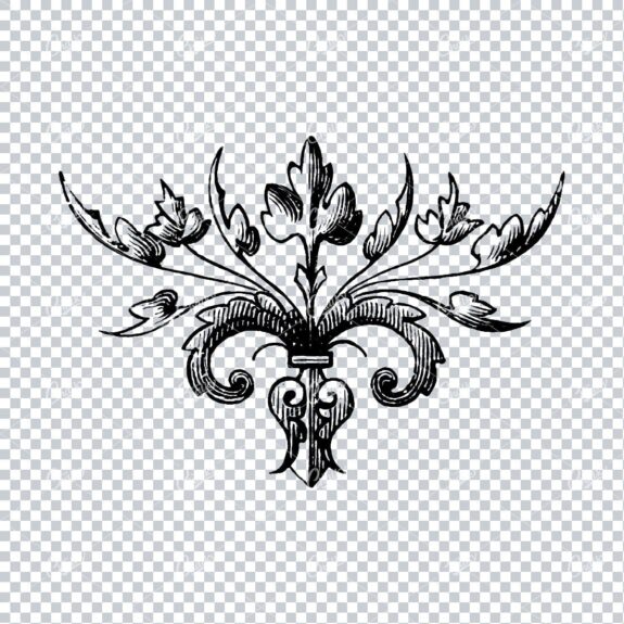 Antique Flourished Line Art Design Element No.20